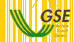 GSE - Gestore Servizi Elettrici